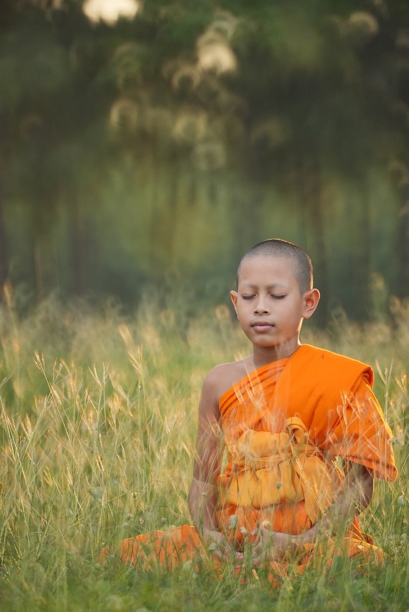 Meditation and spirituality