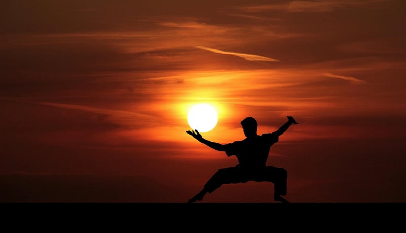 Tai Chi Silhouettes