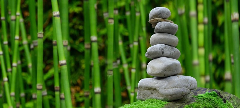 Zen garden meditation
